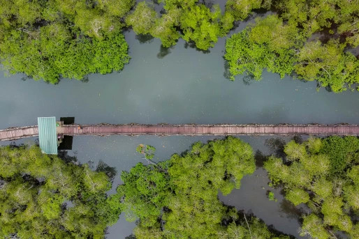 A path along the water scene from above.