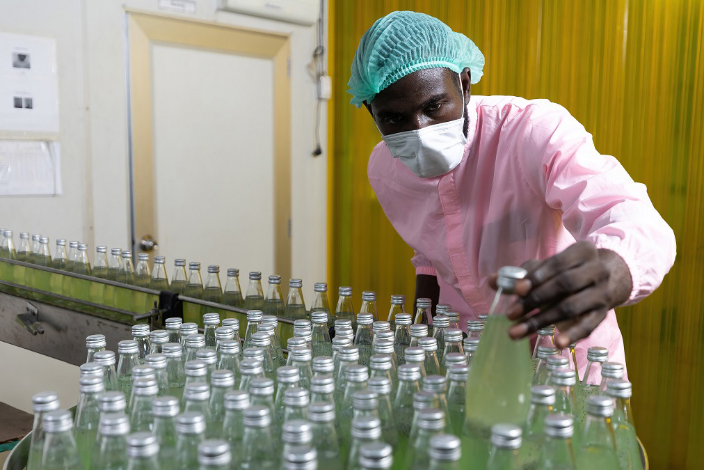 Man looking over soda bottles in a production line