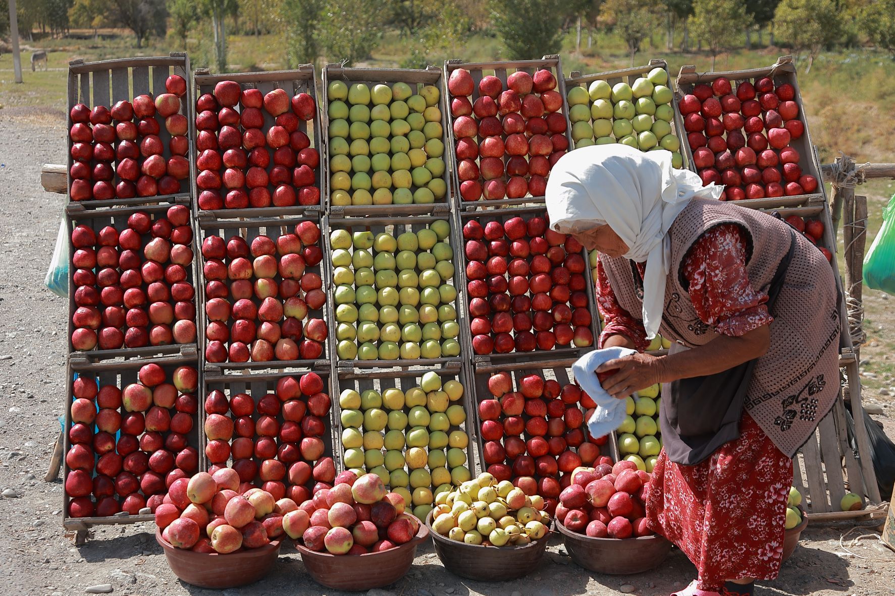 An old lady by the road side wiping apples in a stand