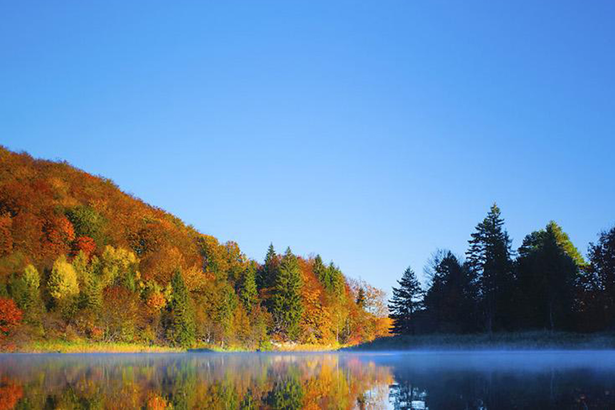 Lake view with clear blue skies and trees turning color for autumn