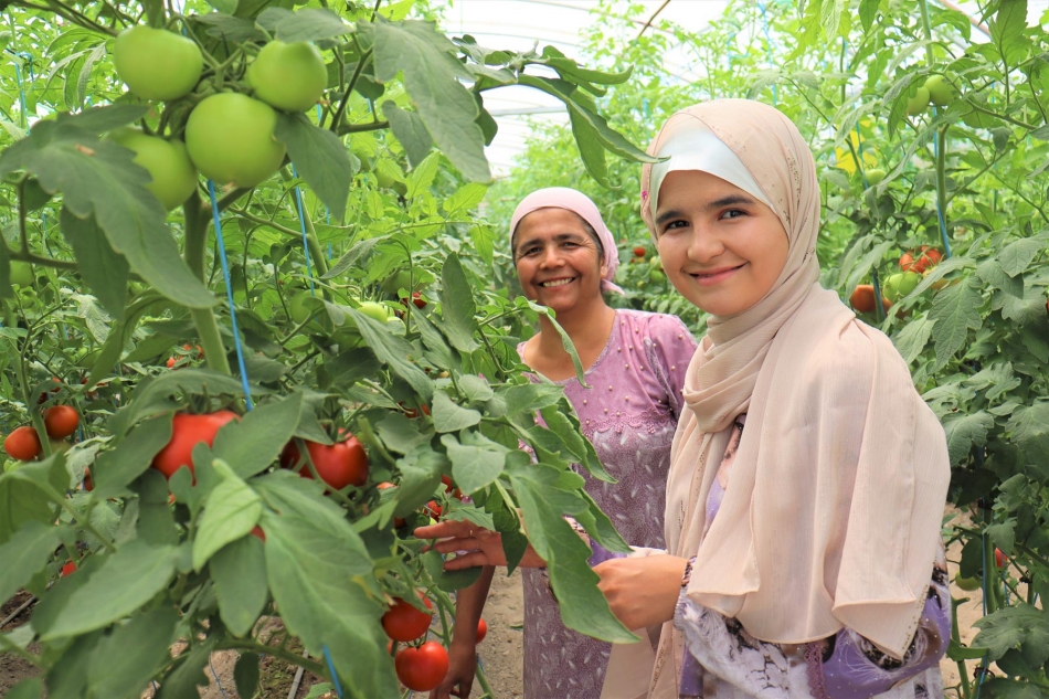 Two women in a tomato greenhouse.