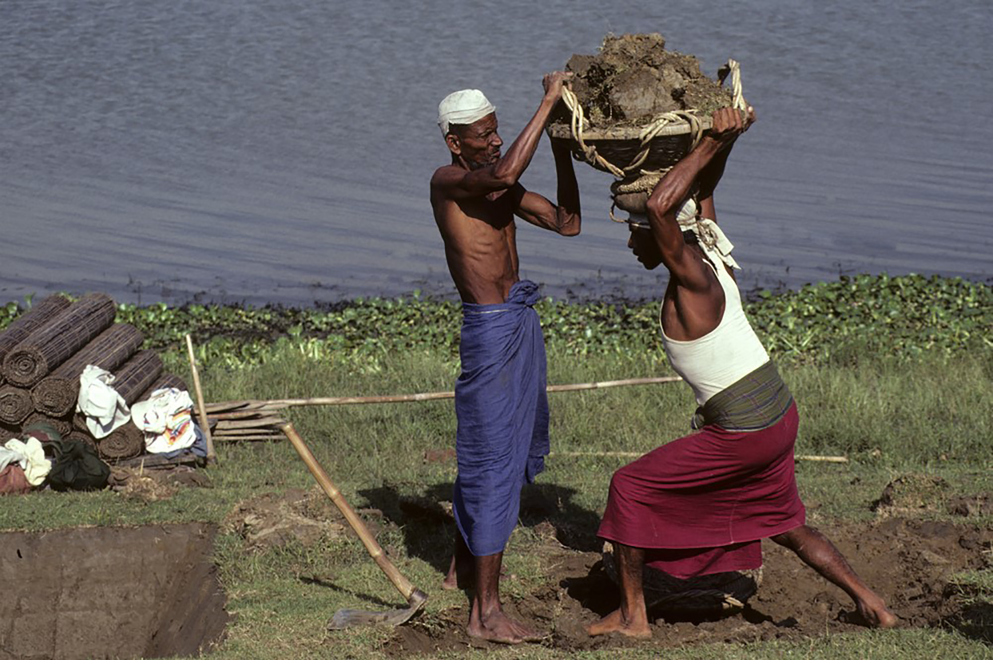 Two Bengali laborers digging and transporting pieces of sod.