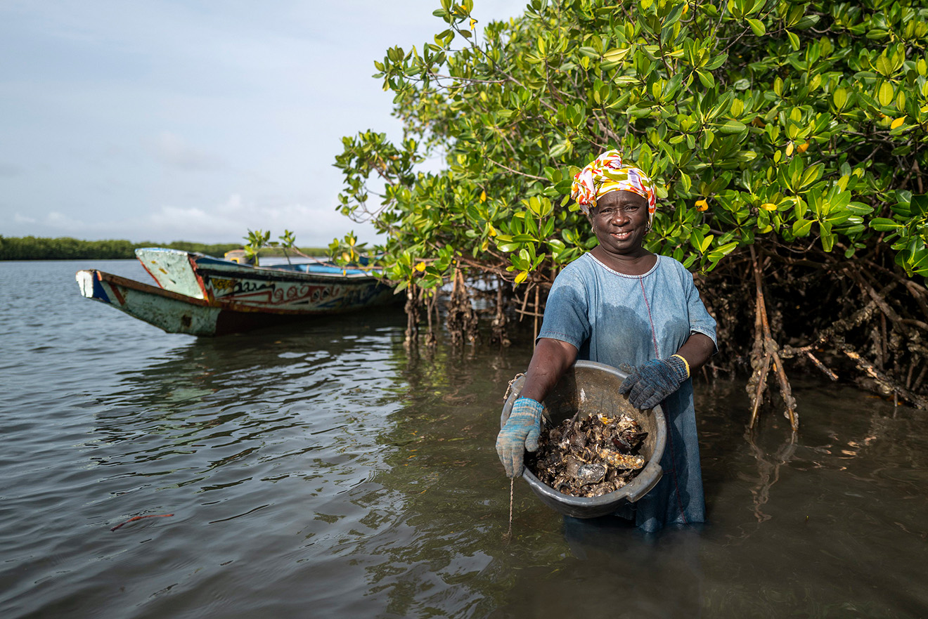a woman poses in a mangrove with a bucket of oysters and a boat in the background