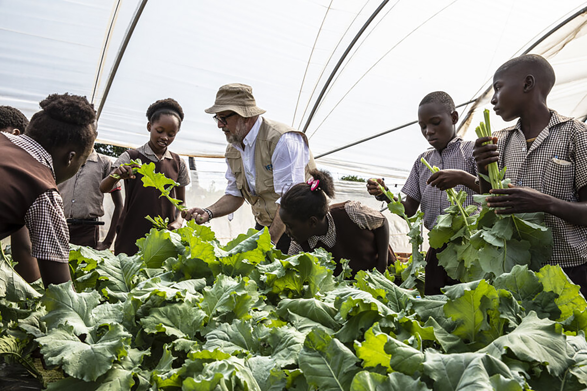 An American chef checks out the greens grown by a group of students at a Zambian primary school.