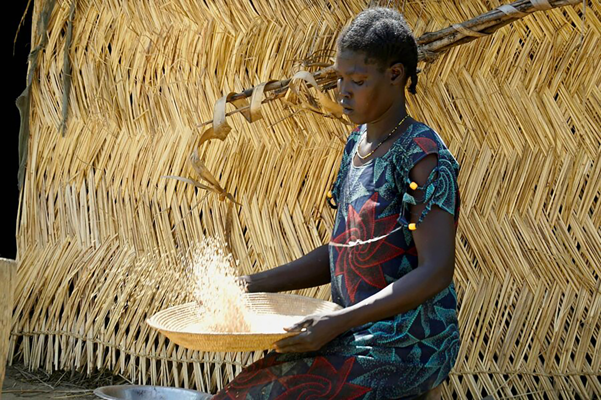 A woman removes the husks from the rice she harvests before cooking it to feed her children. 