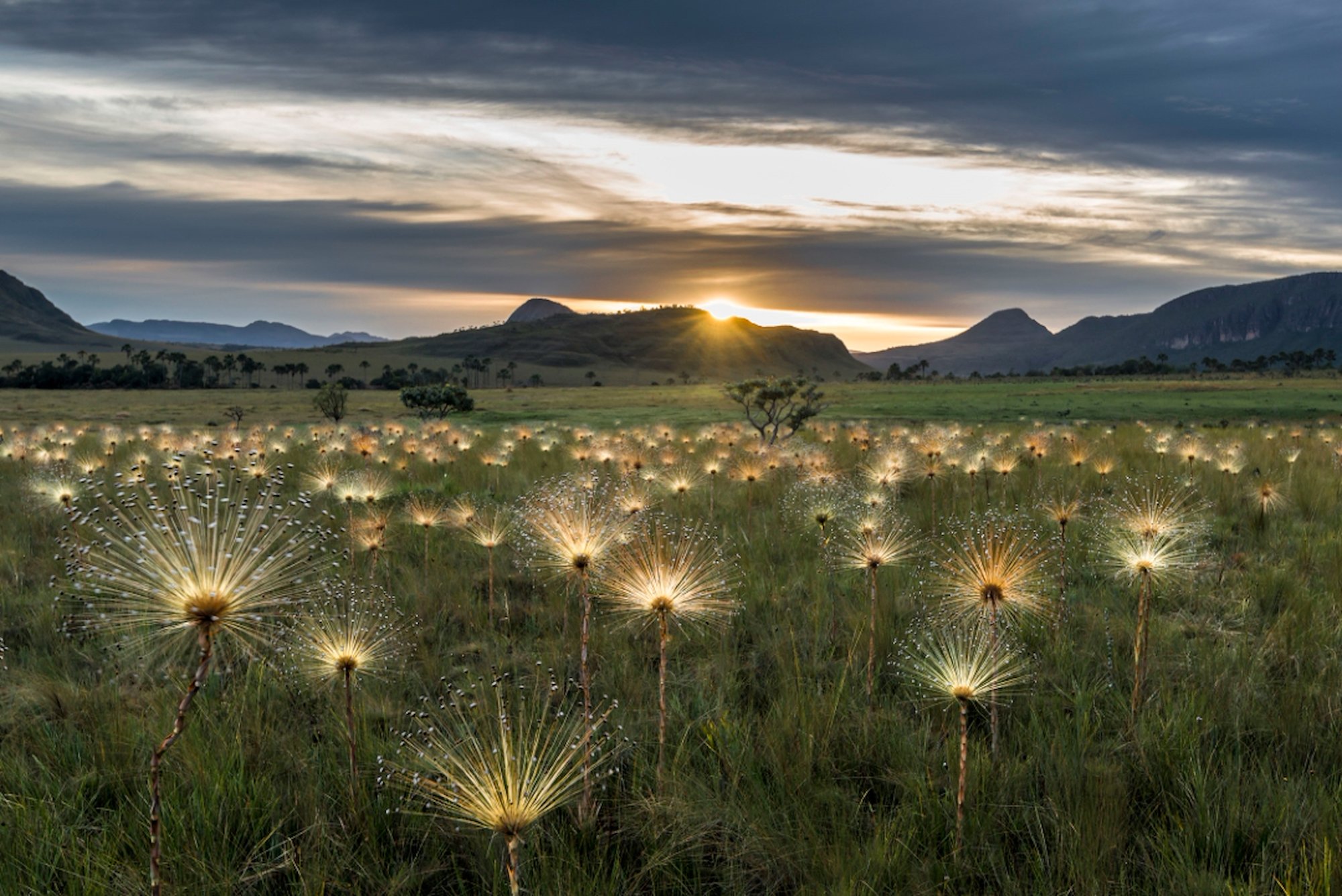 A view of the Chapada dos Veadeiros (deer plateau) National Park, Chapada dos Veadeiros (deer plateau) National Park, in the middle of the Cerrado savannah region.