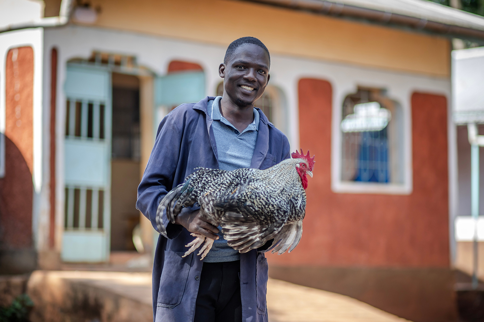 Un jeune Kényan tient un coq entre ses mains.