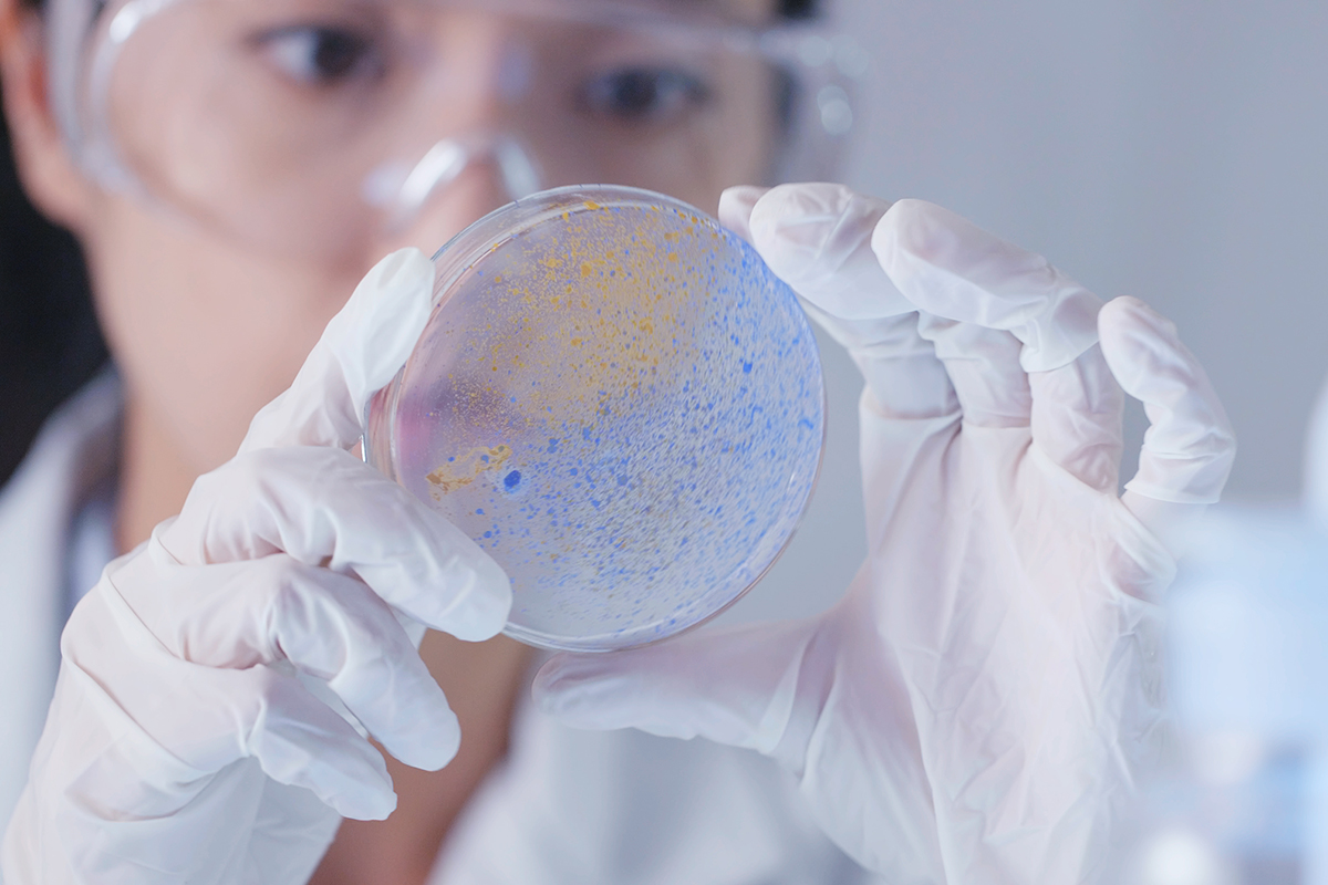 Female scientist examining a Petri dish