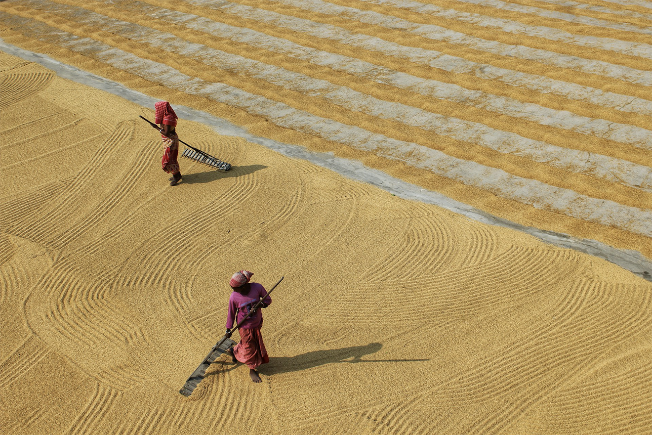 Aerial view of two women threshing grain