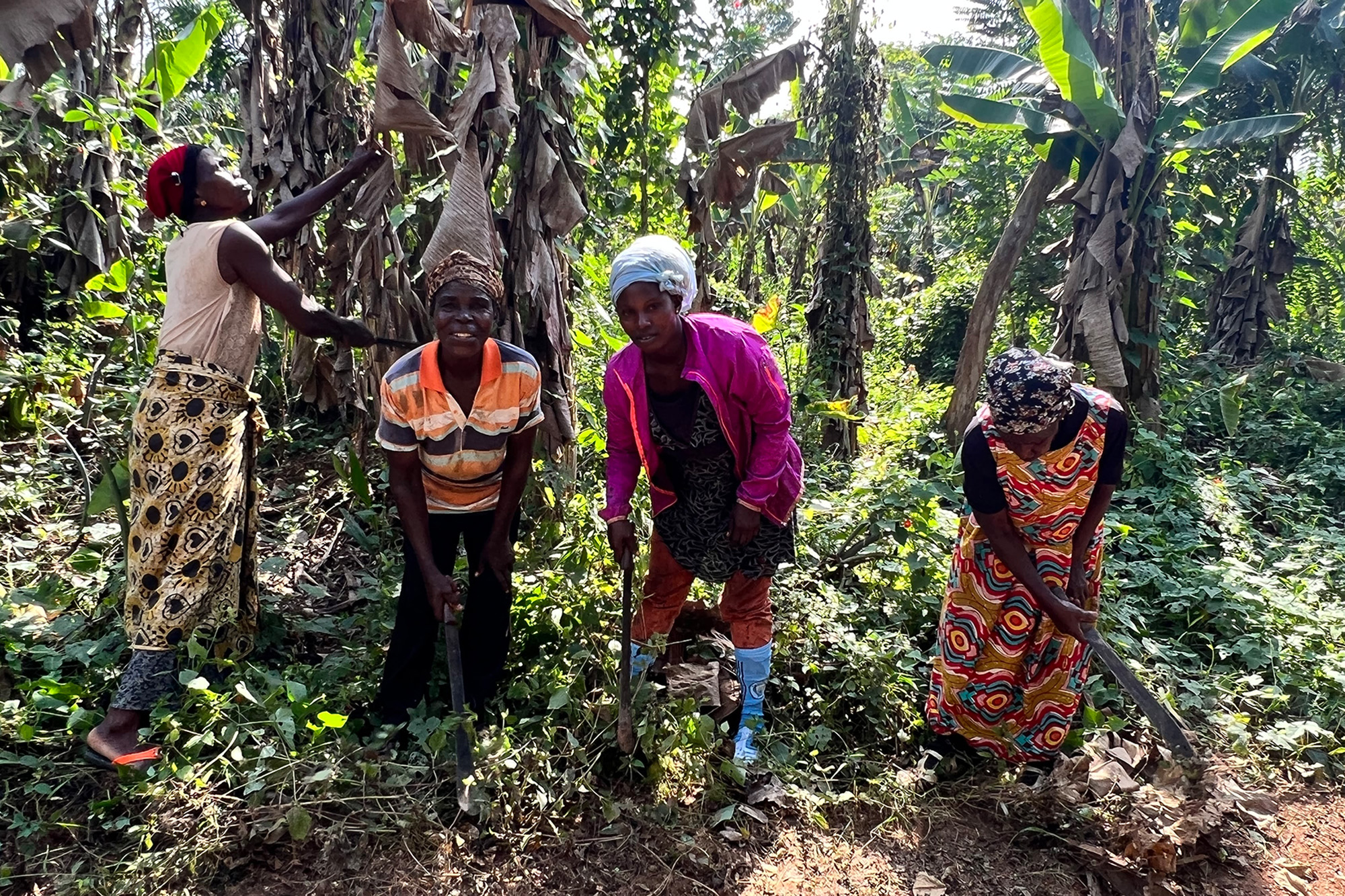 Four women working in the Zukpuri Community Resource Management Area in Ghana's Upper West Region.