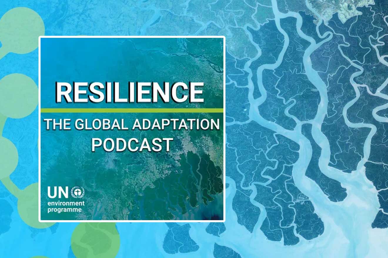 cover image of the branded pocast with the name "Resilience: the global adaptation podcast"
