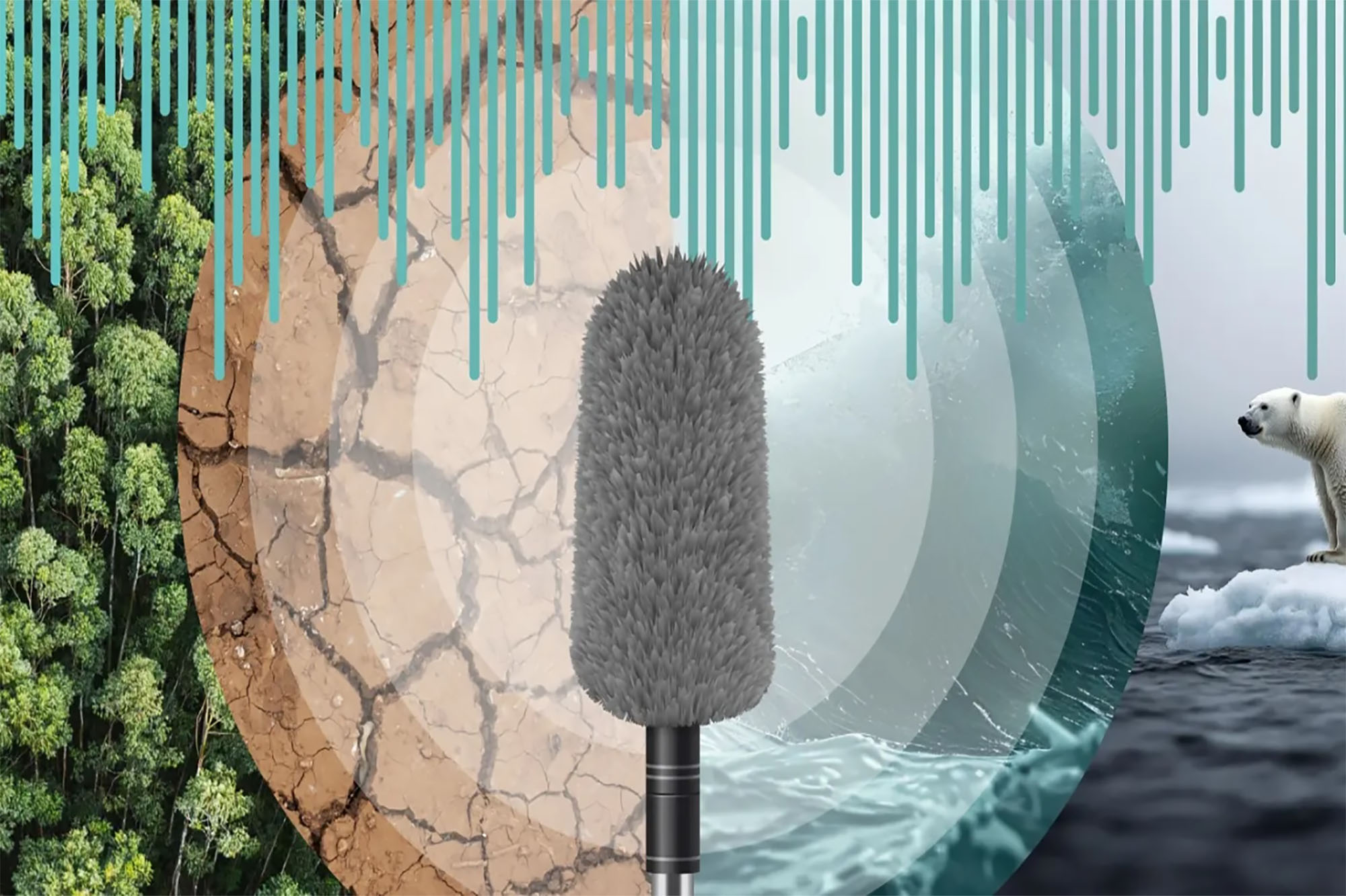 Image of a microphone surrounded by circles imitating airwaves and a polar bear and forest on the sides of the graphic.