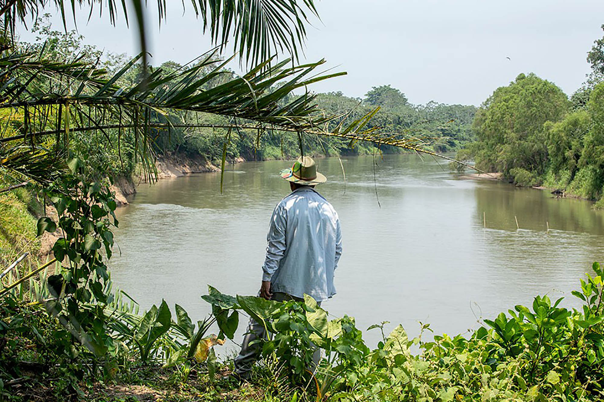 In Honduras, a man wearing a hat is facing away from the camera and looking towards a river.