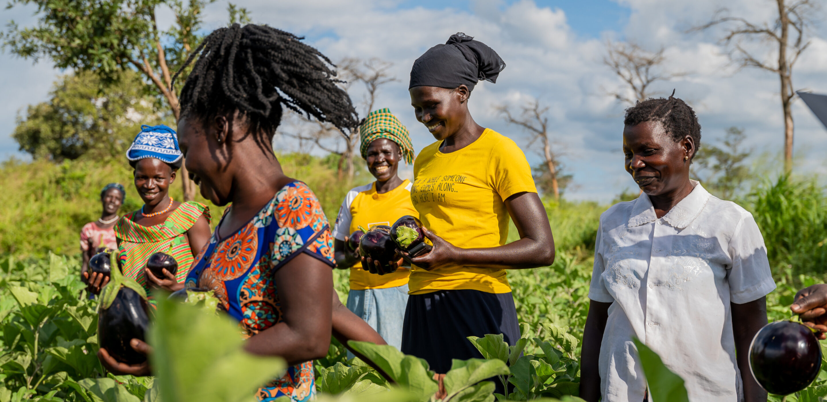Des femmes africaines récoltant des légumes