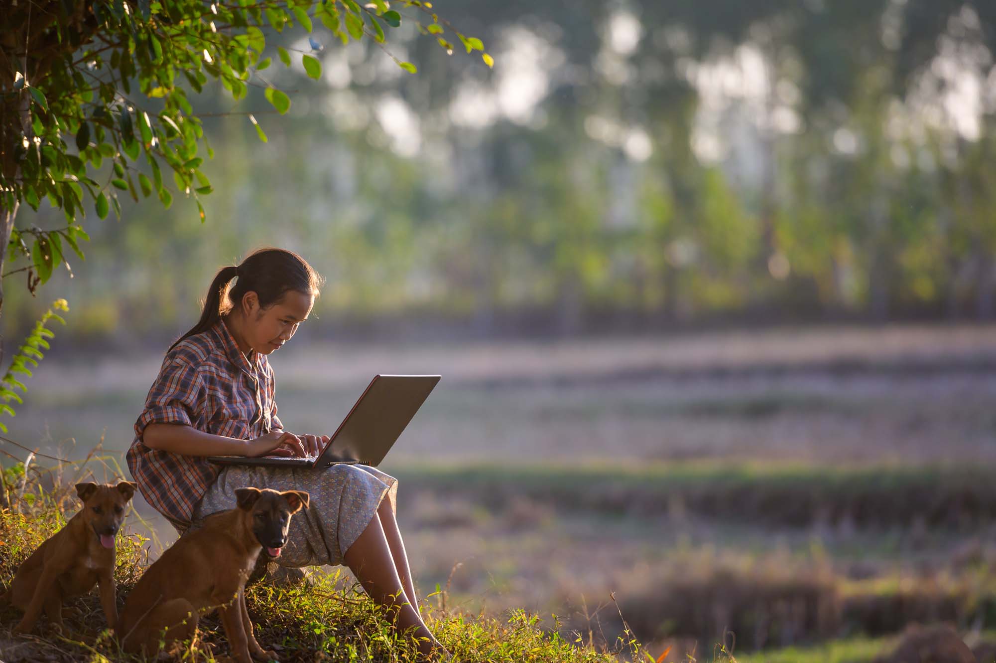 young girl sitting under a tree with two dogs and a laptop