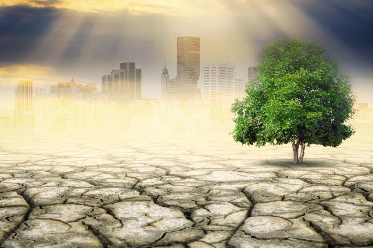 An illustration of different weather conditions. 