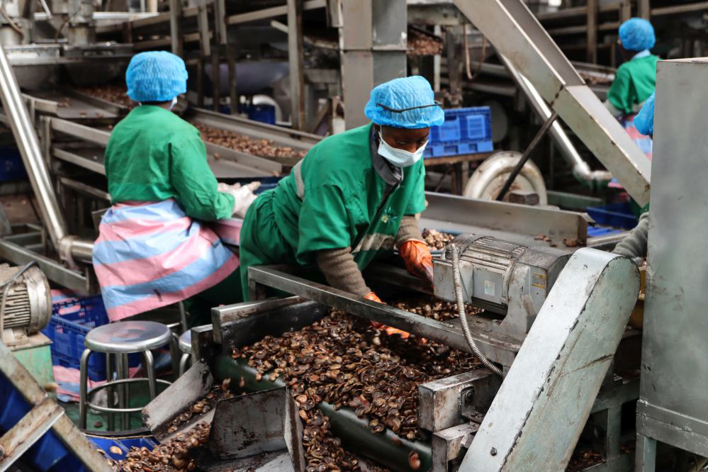 A group of women in a food factory.