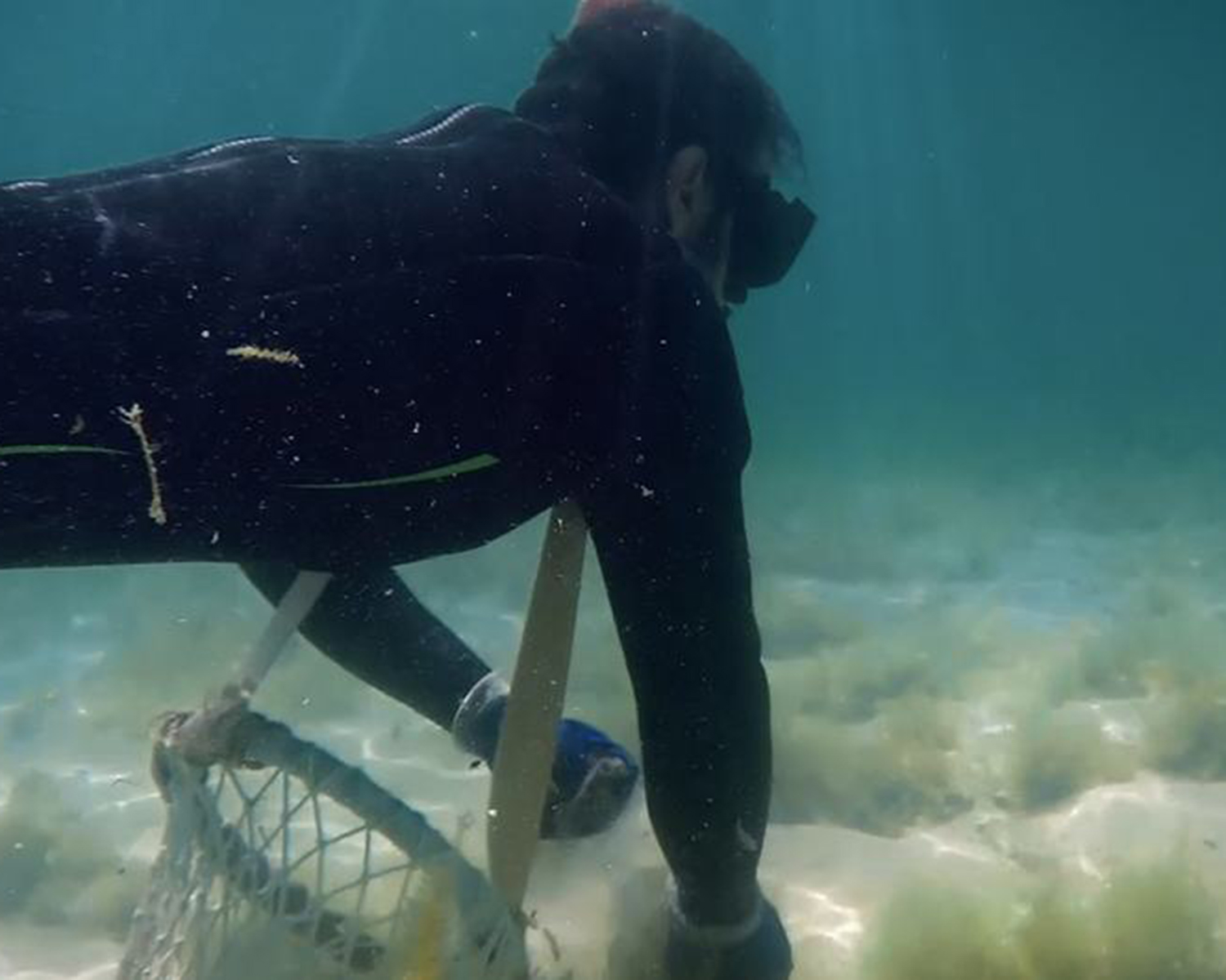 A diver is diving for pearls in Bahrain. Pearling in the Persian Gulf shaped Bahrain’s economy for millennia.