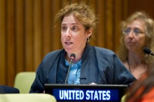 Assembly Decides to Establish Intergovernmental Committee on Sustainable Development Financing