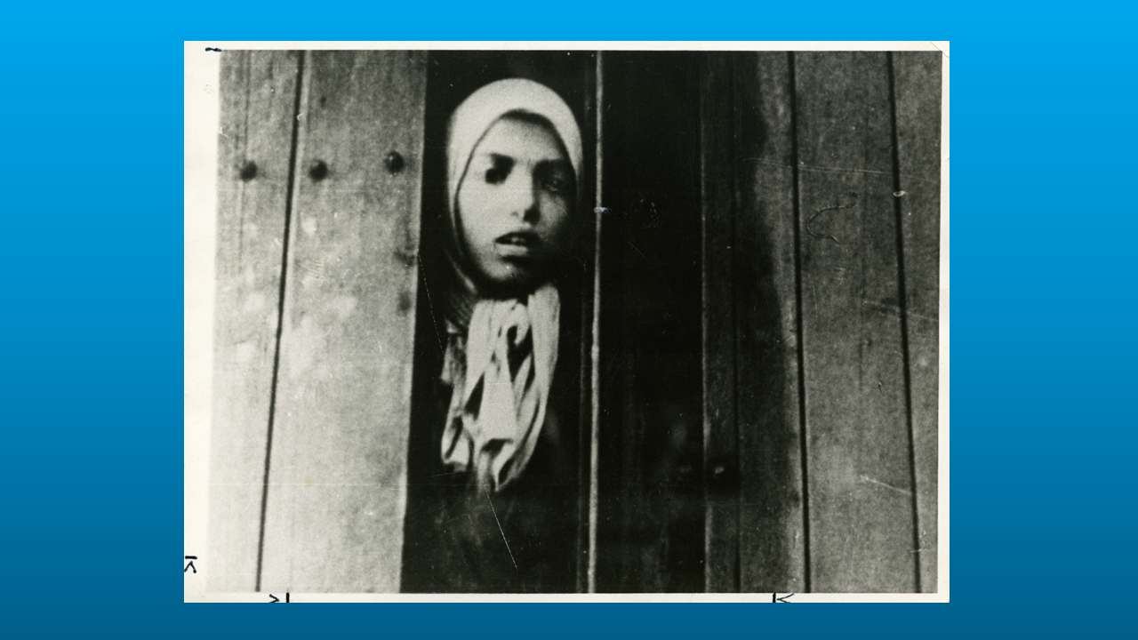Nine-year-old Anna Maria “Setella” Steinbach, a young Romani girl, stares out of a cattle car used for deportation from Westerbork transit camp, Netherlands, 1944. Three months later Setella was murdered in Auschwitz Birkenau German Nazi Concentration an