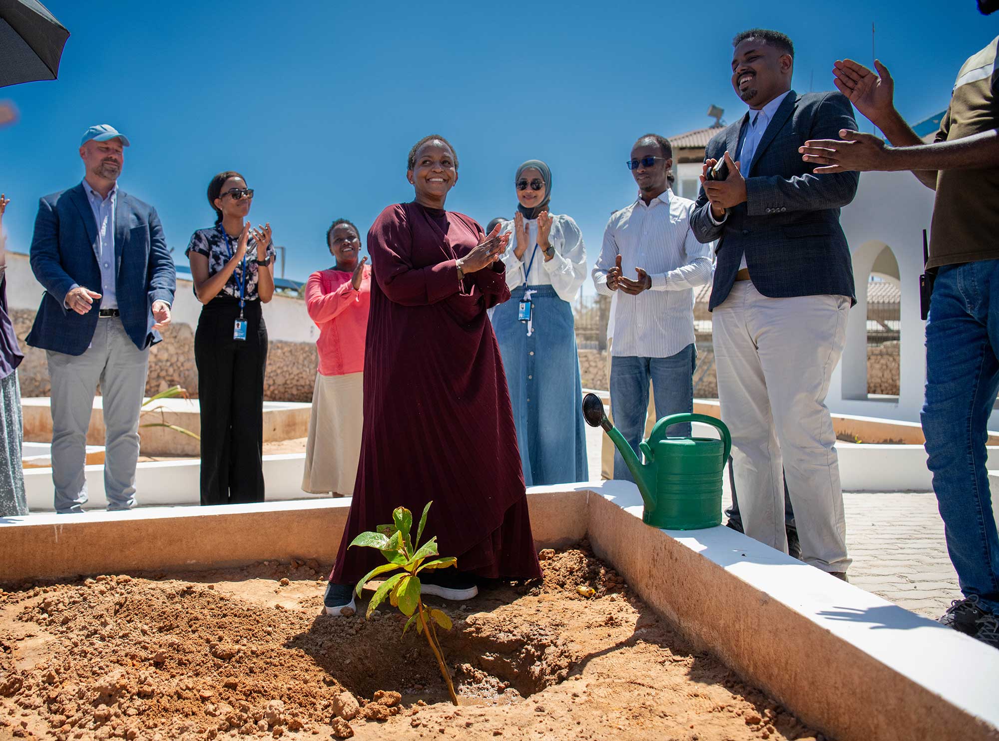 Msuya next to a seedling is surrounded by people clapping