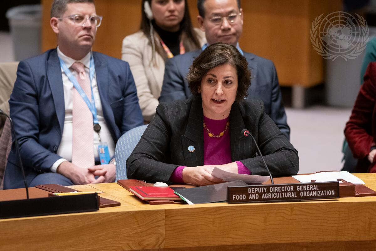 Beth addressing the Security Council