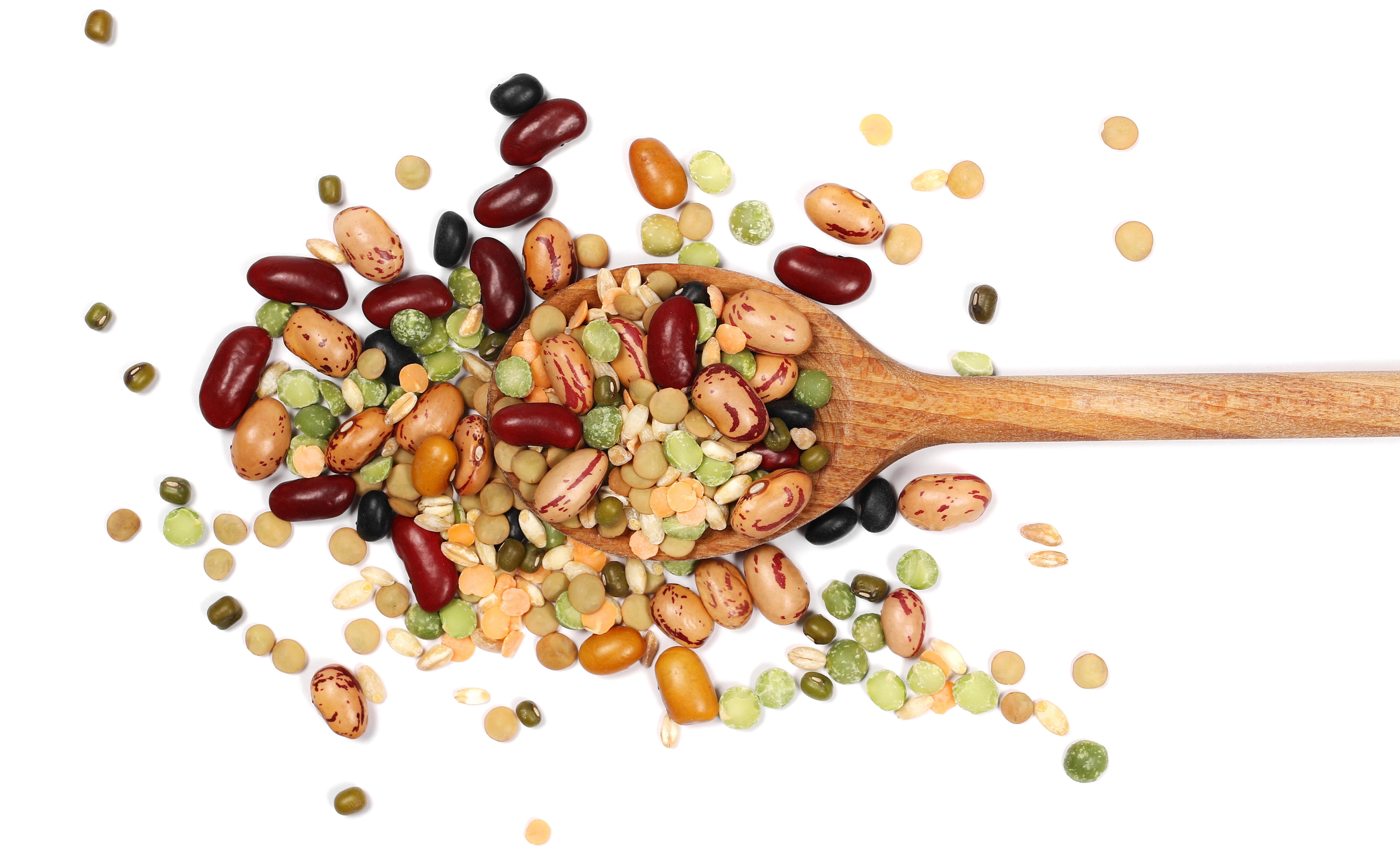 a wood spatula and different pulses against a white background