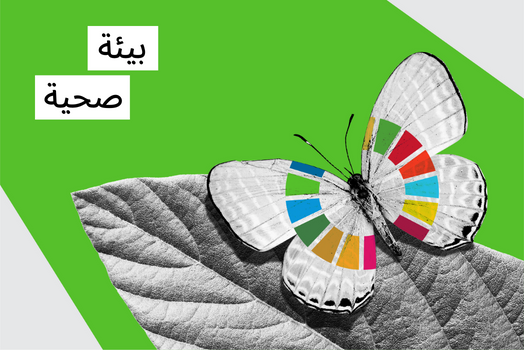 A black and white composition of a butterfly on a leaf, with the Sustainable Development Goals colored icon on her wings.