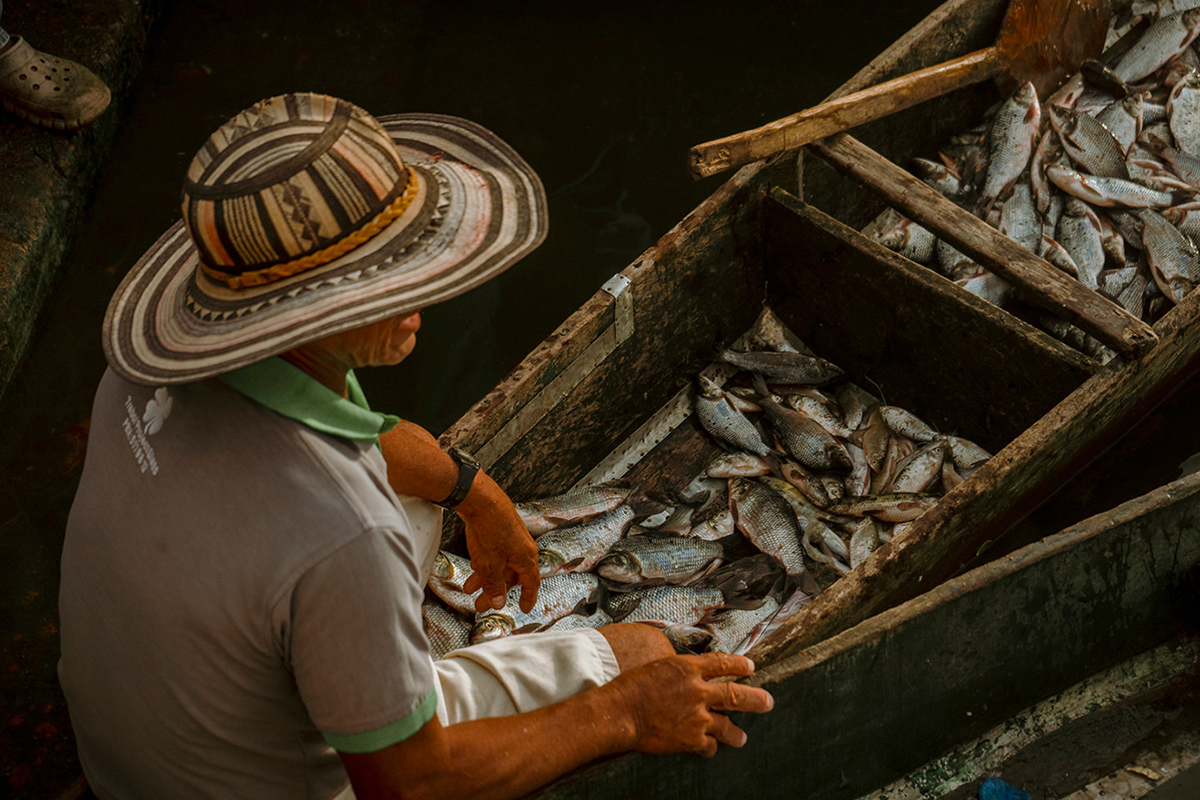 Fisherman in a boat full of fish