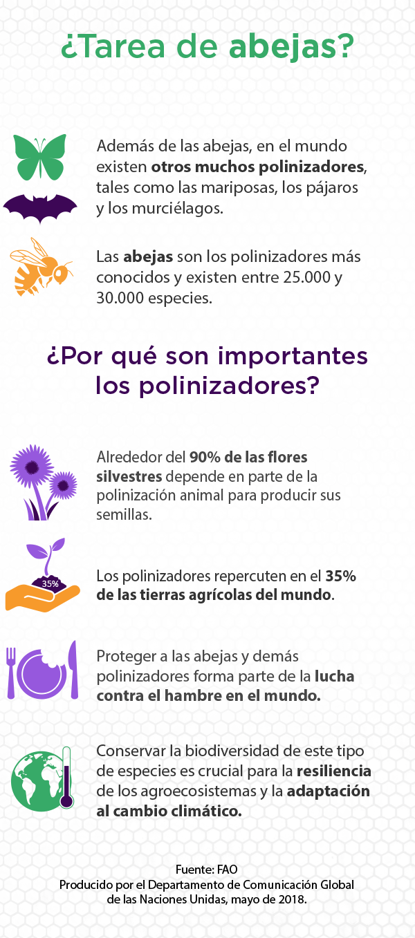 bee_day_infographic_esp.png | United Nations