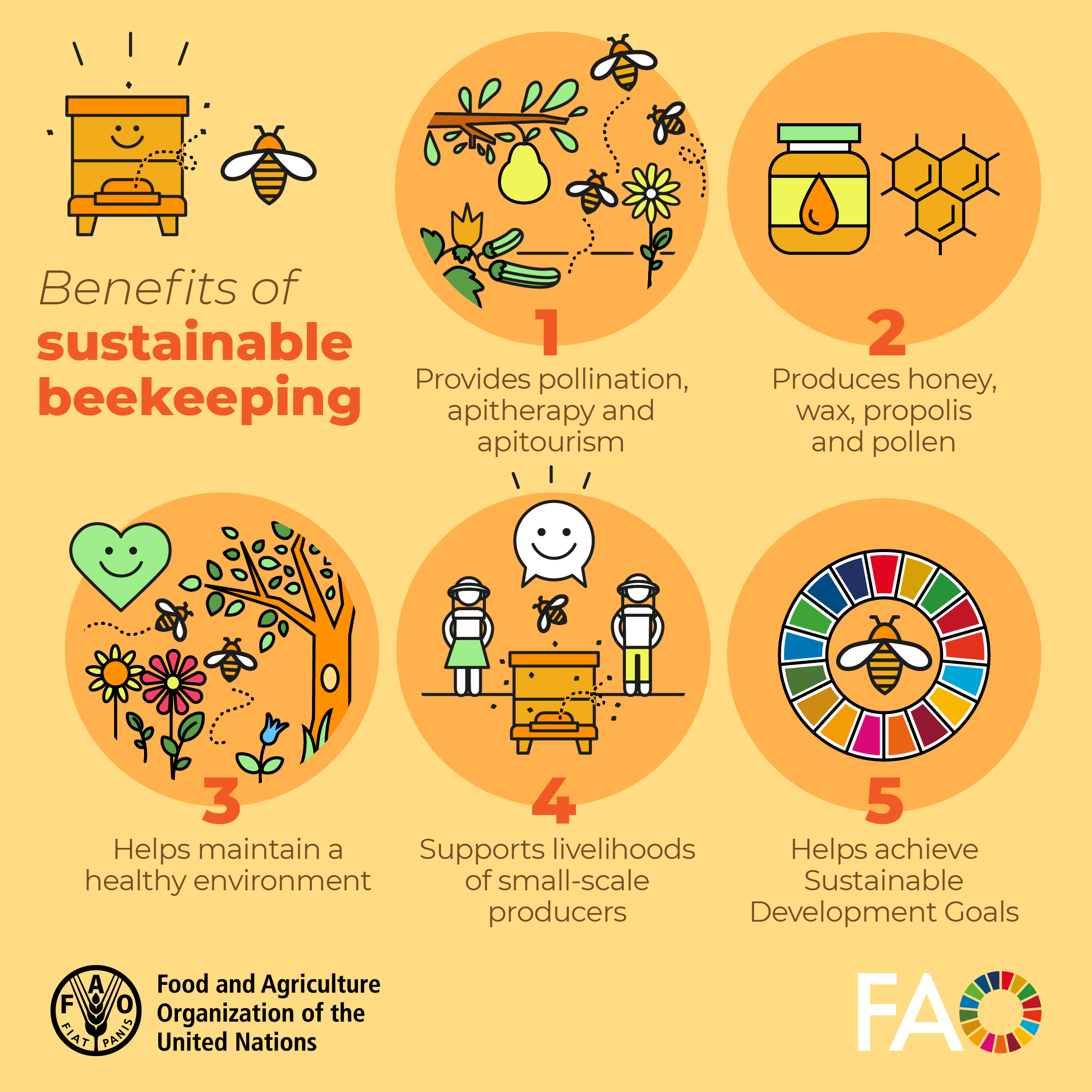Infographics on the benefits of sustainable beekeeping: provides pollination, produces honey, helps maintian a healthy environment, supports livelihoods, helps achieve the SDGs