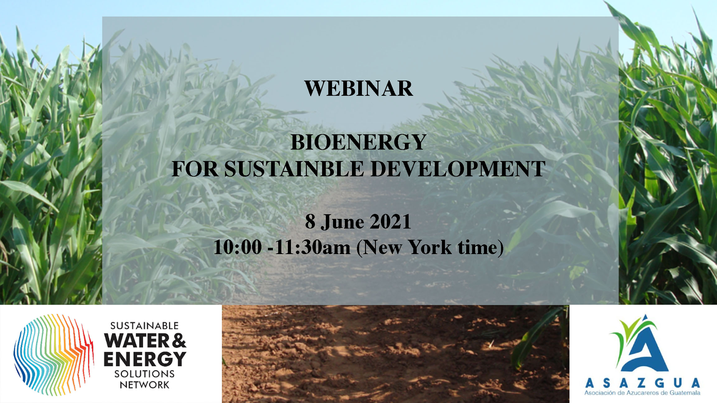 flyer for bioenergy webinar
