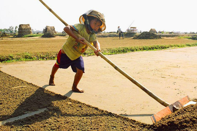 child labourer