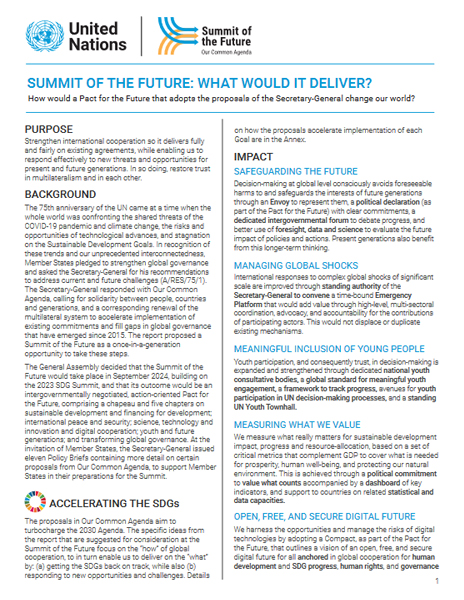 cover image of the paper entitled Summit of the Future - what will it deliver?