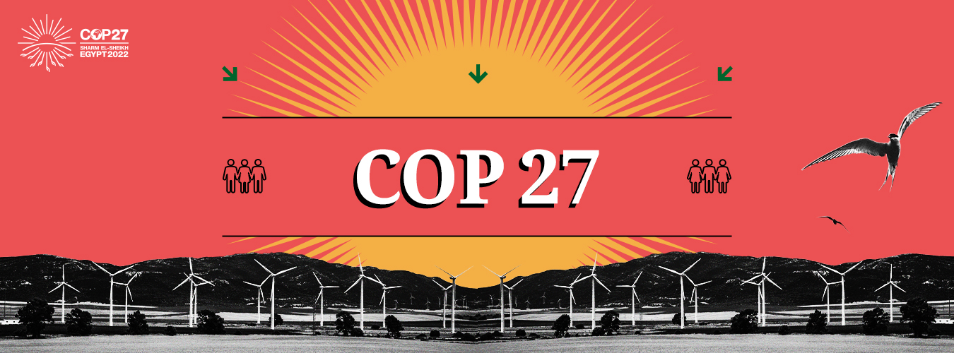 COP27