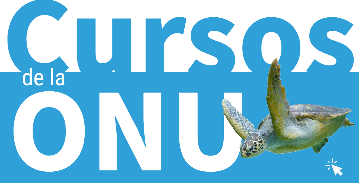 Banner con una tortuga marina y un enlace a cursos de la ONU relacionados con la biodiversidad