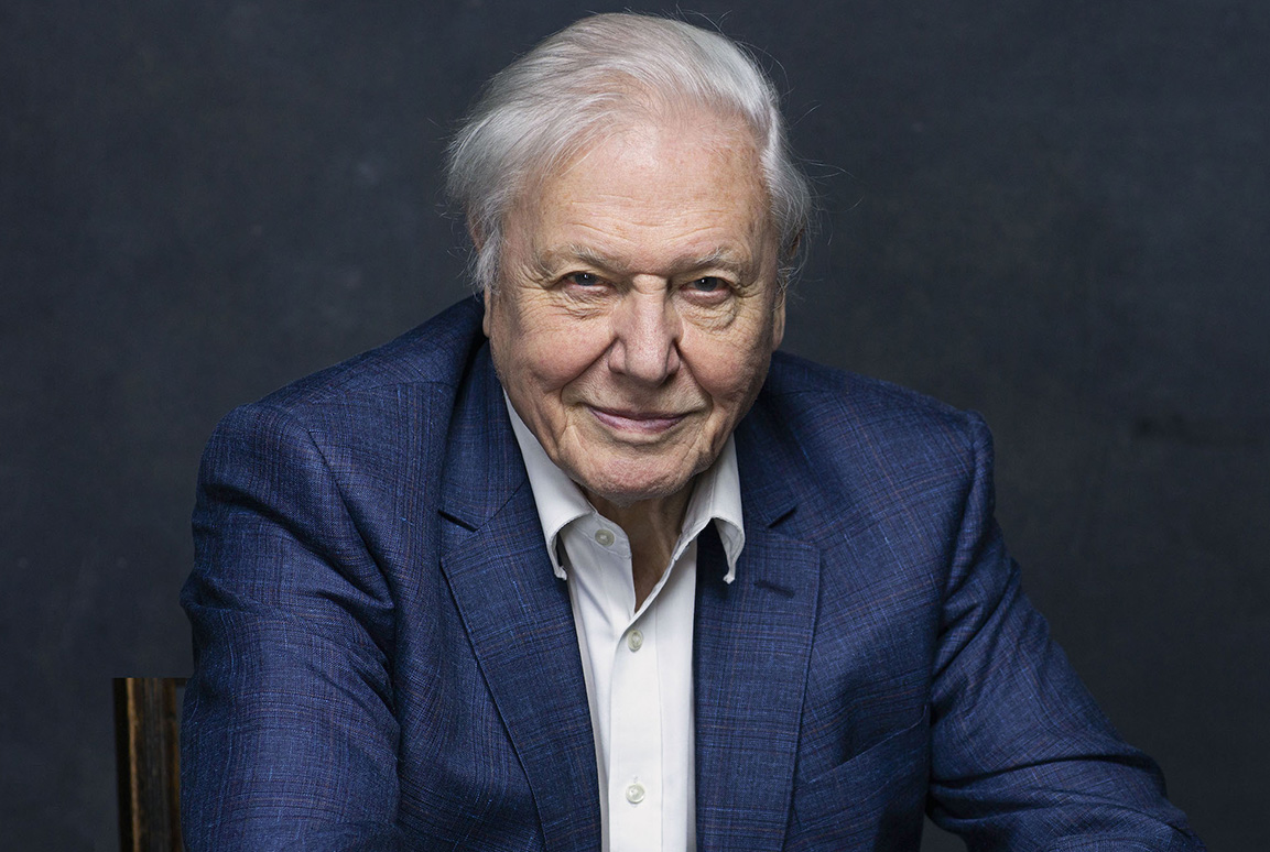 Photo: BBC portrait of David Attenborough
