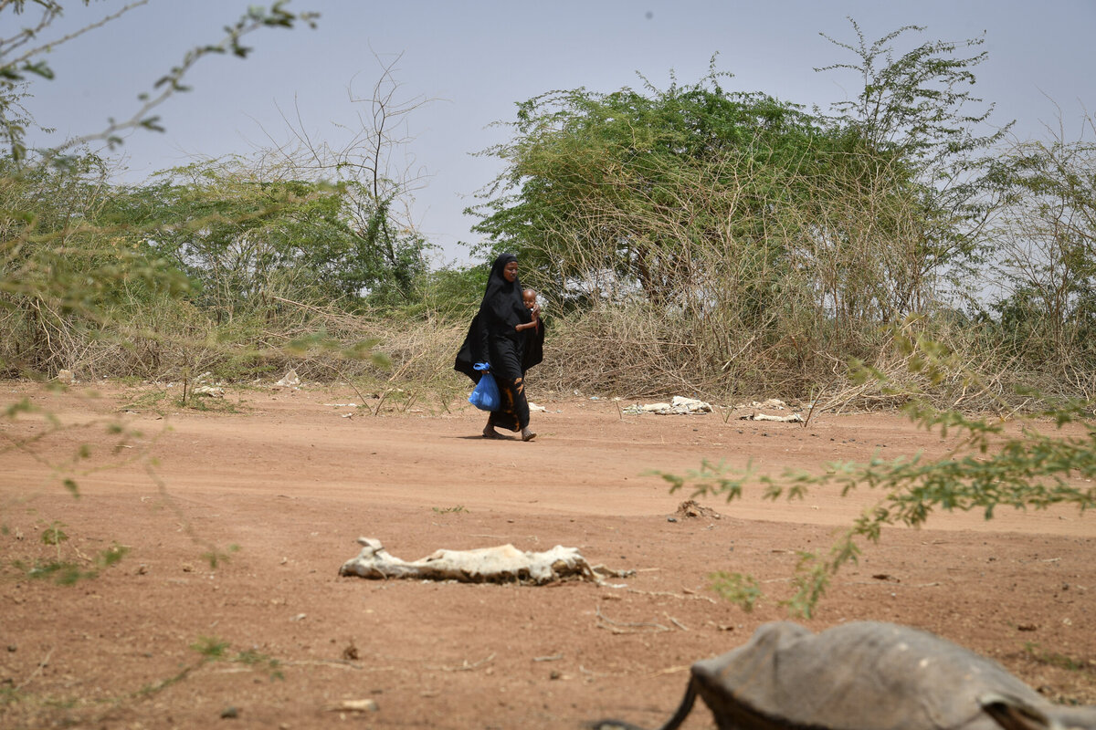 woman with baby walks amid animal carcasses