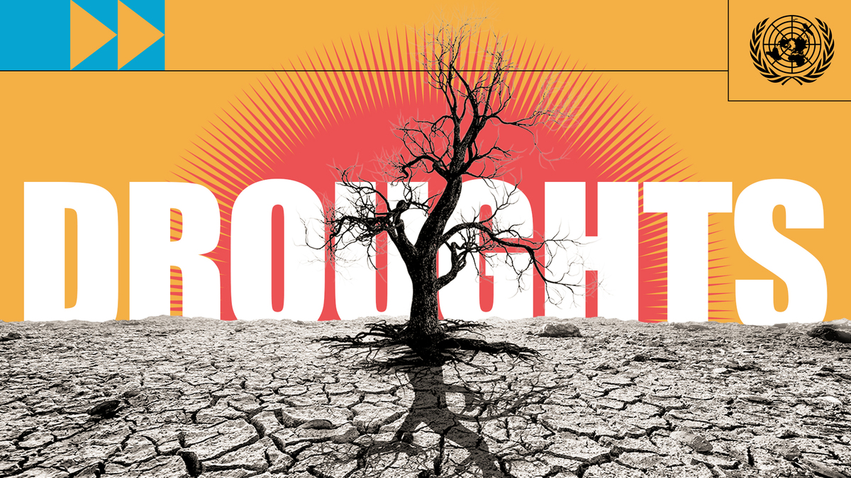 Photocomposition: a dry tree in a dry soil, with the word drought written in bold big letters at the background.