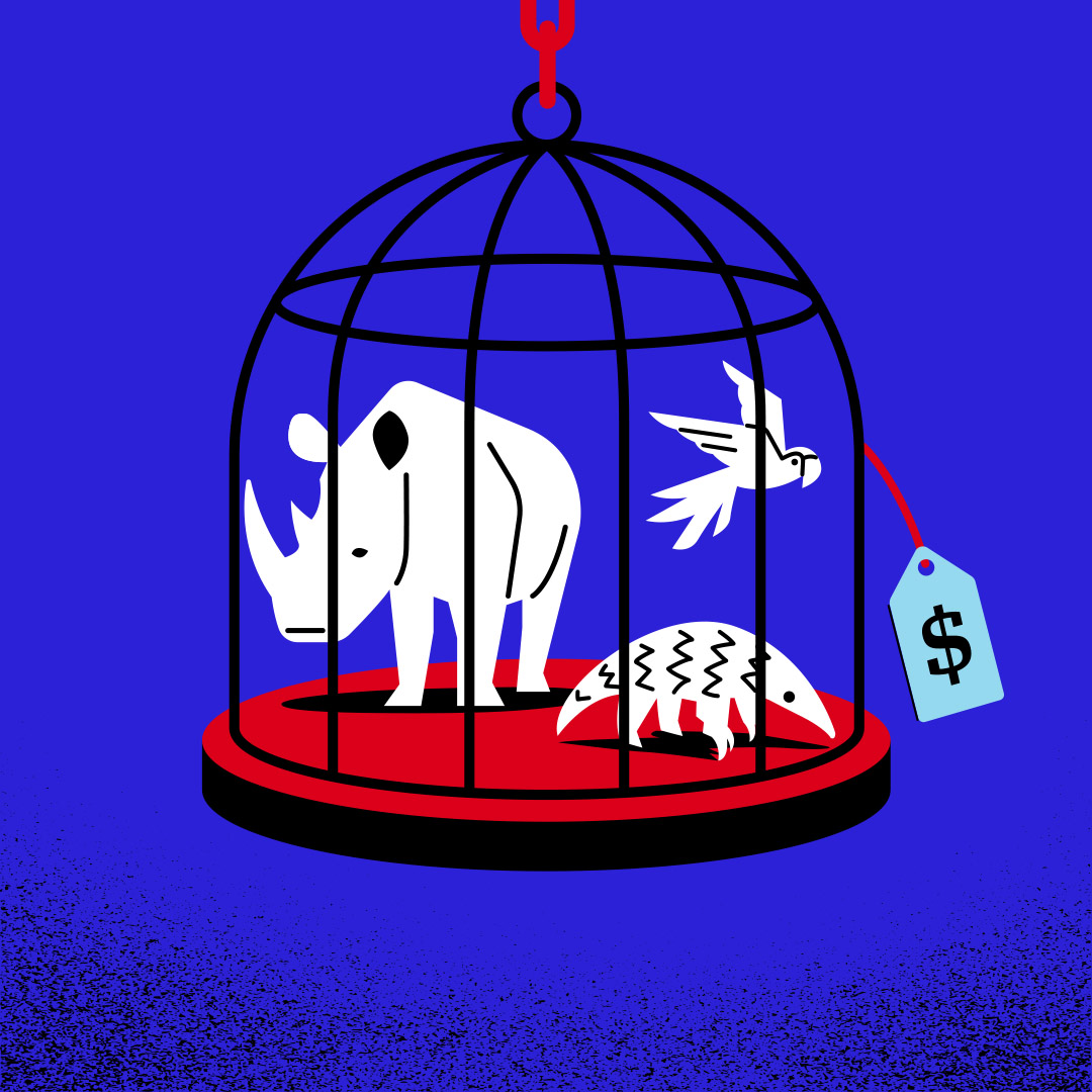 An illustration detailing crimes that affect the environment. Credit: UN