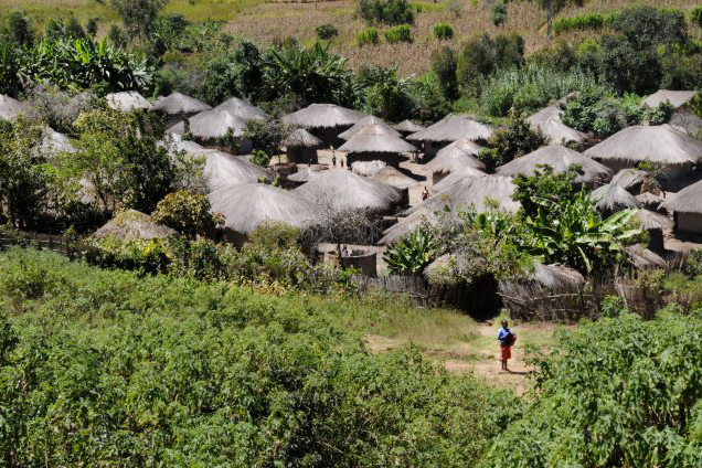 scene of a village with thatch roofs from above