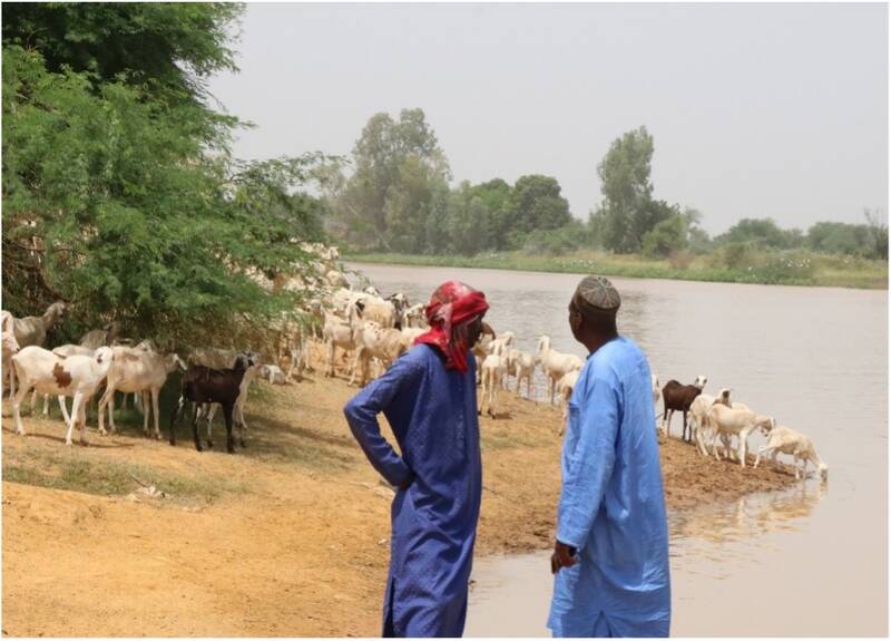Deux hommes devant un troupeau de moutons au bord du fleuve