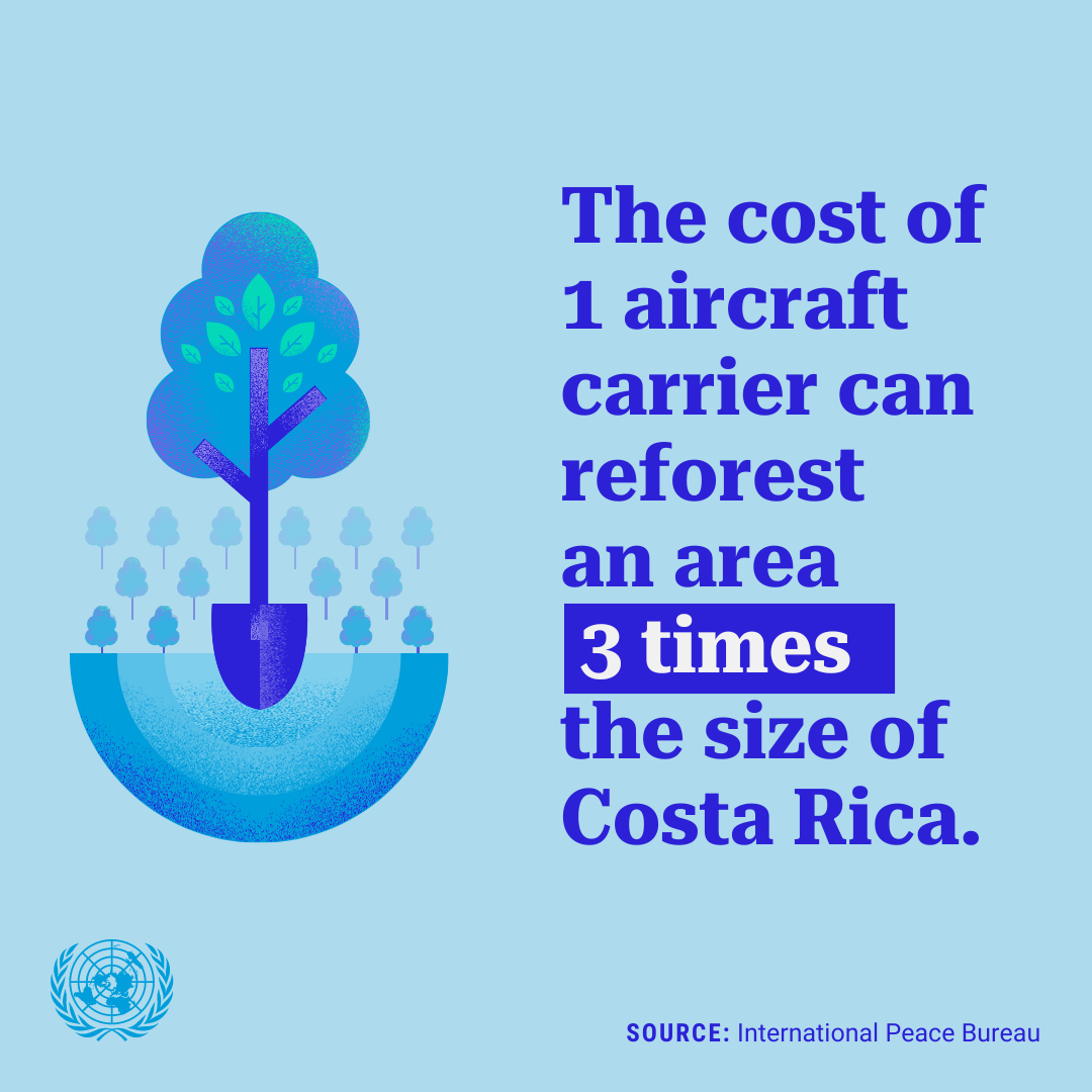 An illustration with the text 'The cost of 1 aircraft carrier can reforest an area 3 times the size of Costa Rica. Source: International Peace Bureau'.