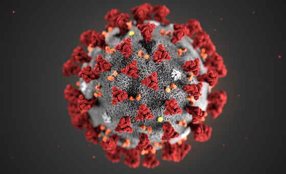 Visualization of SARS-Cov-2 virus.