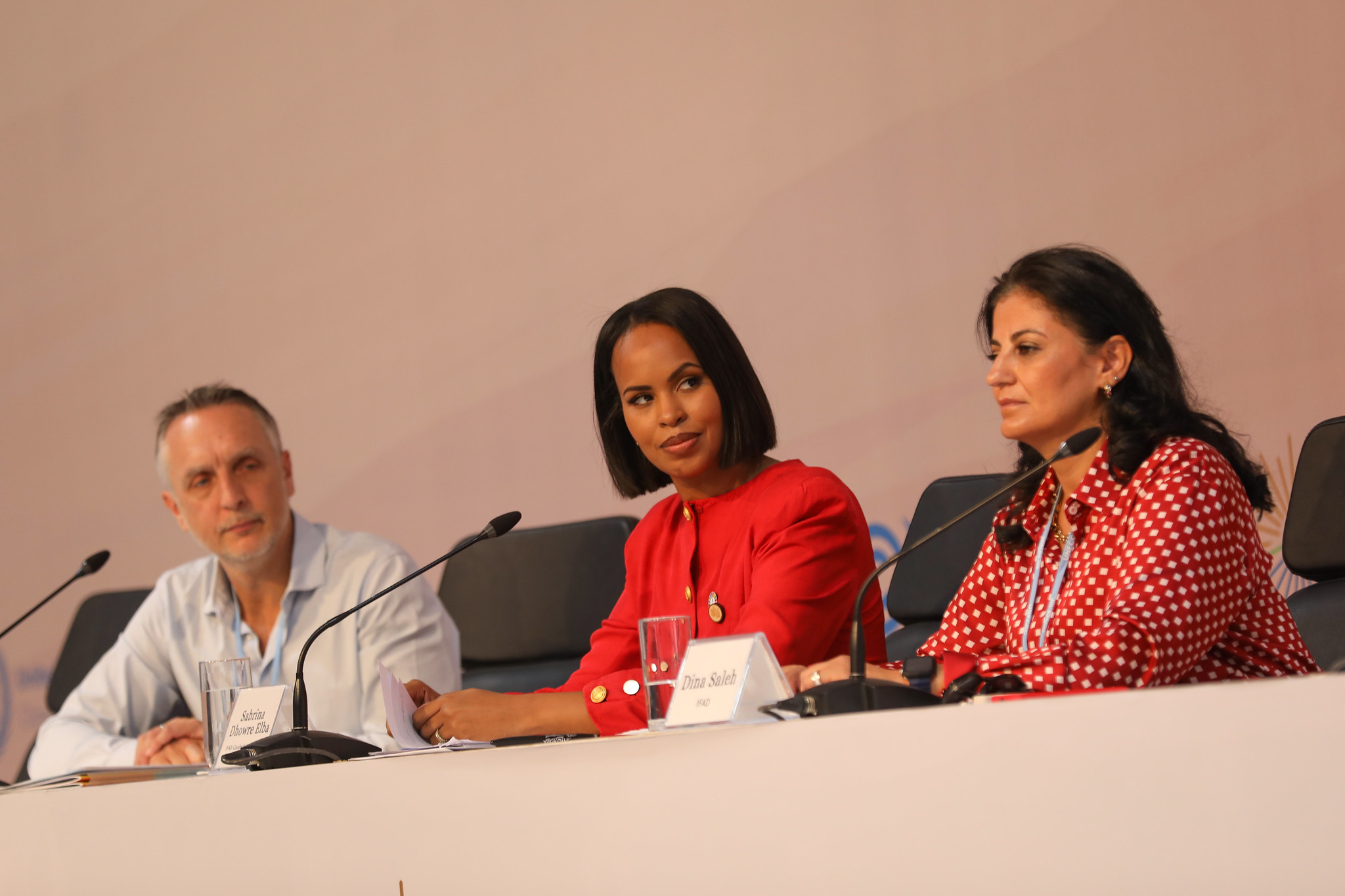 Sabrina Dhowre Elba, Goodwill Ambassador for the International Fund for Agricultural Development, speaking in a conference during COP27