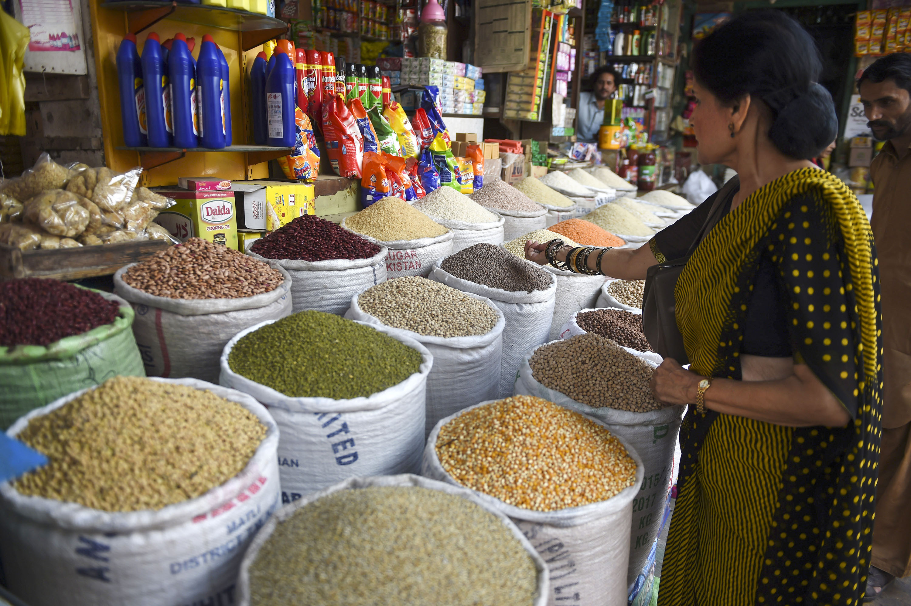 Keeping the Spotlight on Pulses: “Roots” for Sustainable Agriculture and Food Security | United Nations