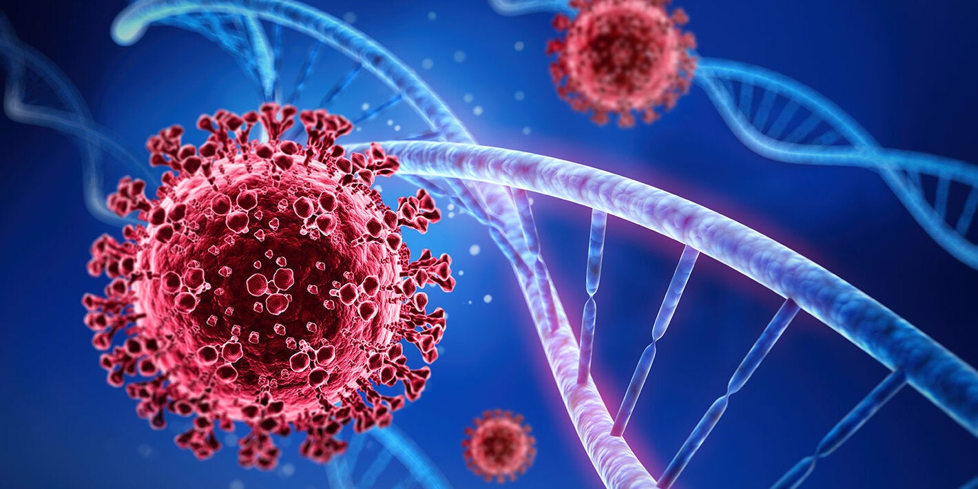 Universities Create New Epidemiological Model to Study COVID-19 Dynamics |  Организация Объединенных Наций