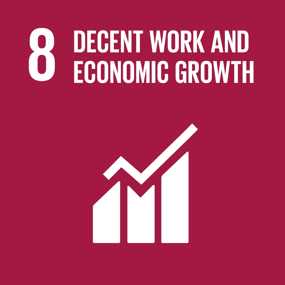 SDG 8 : Decent Work and Economic Growth