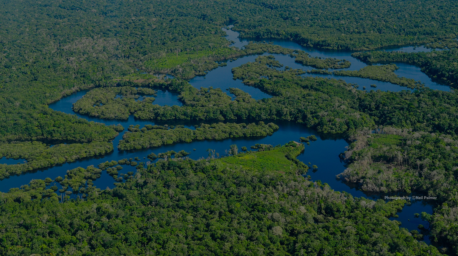 Panorámica del curso de un río que atraviesa un bosque