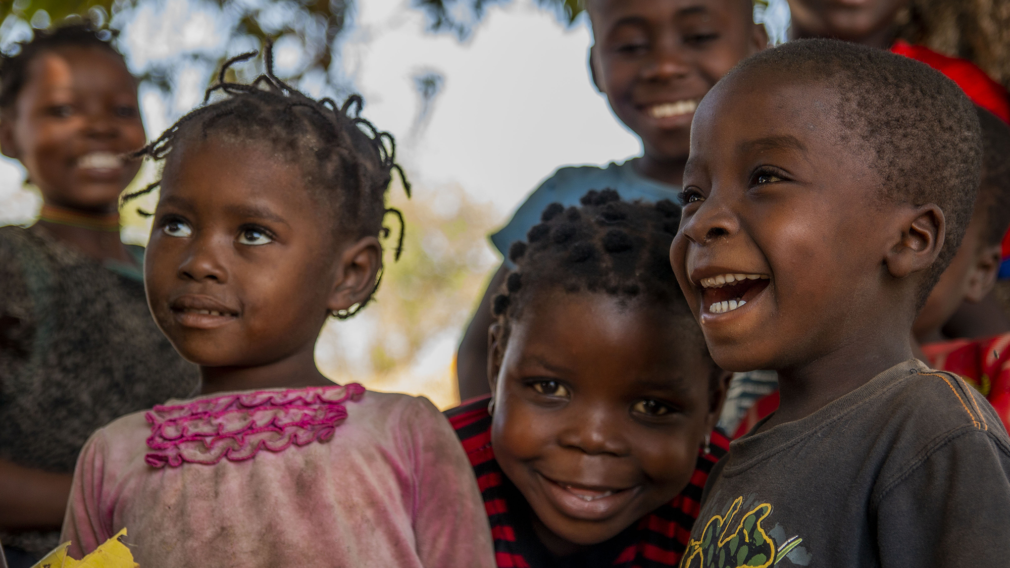 Article - Public - Office de la naissance et de l'enfance